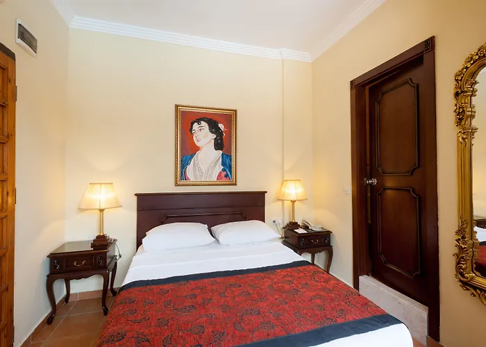 Antique Palace Museum (adults Only) Hotel
